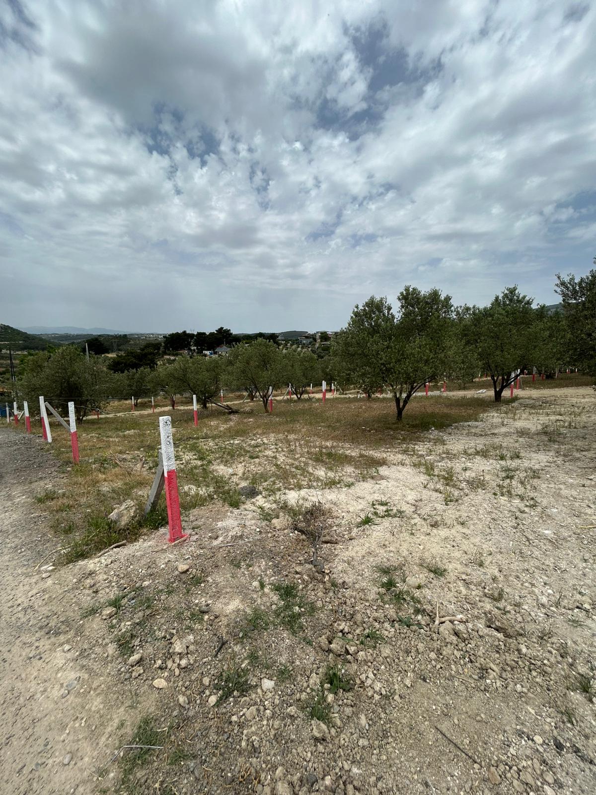 Gülümseyen 30 yaşında kadın portresi, kısa kahverengi saçlı, açık tenli